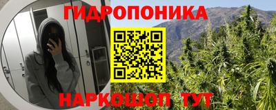 метадон Новозыбков