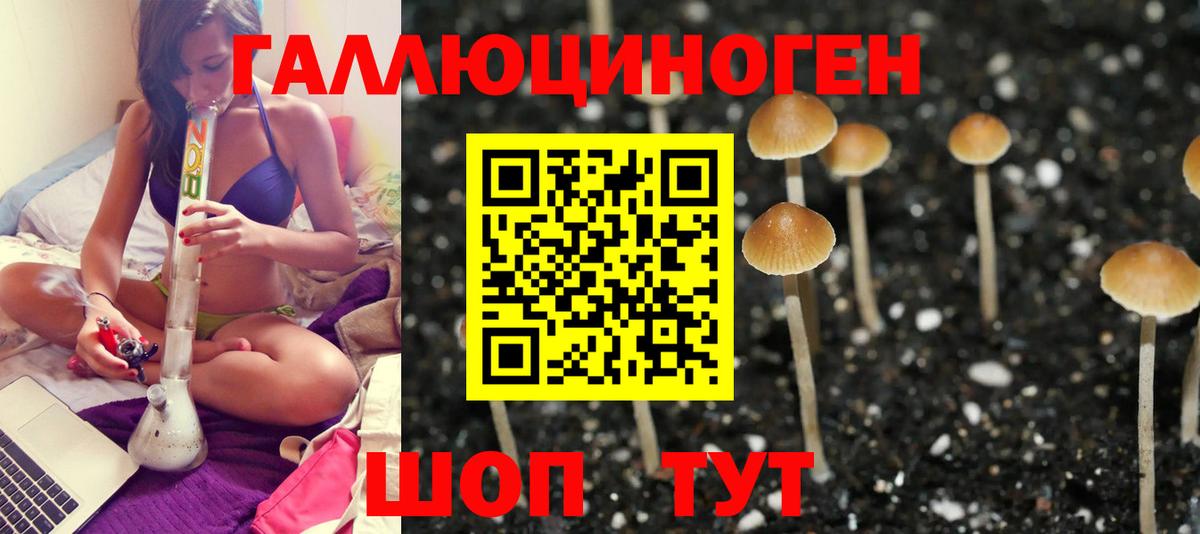Усть-Илимск  Псилоцибиновые грибы Cubensis  Псилоцибиновые грибы мицелий  Вход с VPN 