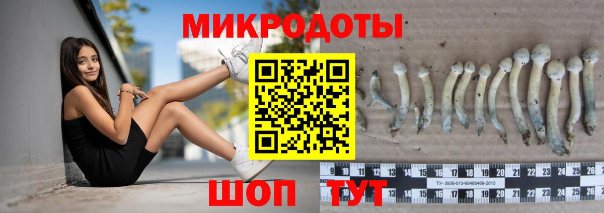 Псилоцибиновые грибы мухоморы Усть-Илимск